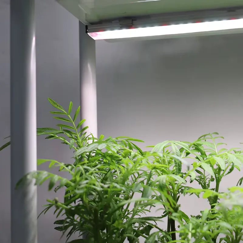 Self-Watering Planter - Jardim Vertical Móvel de 3 Níveis