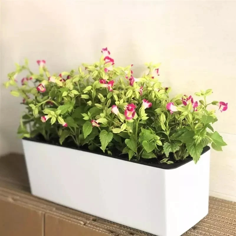 Automatic Plant Waterer - Vaso de flores retangular preguiçoso vaso