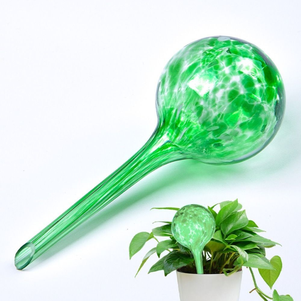 Bola de rega automática de pla - Automatic Plant Waterer avaliação e preço